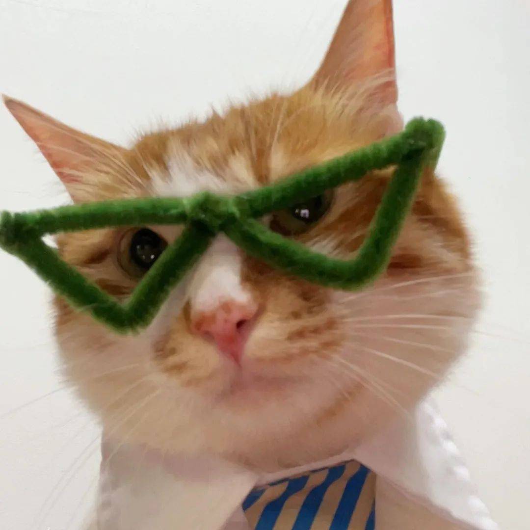 高质量微信头像