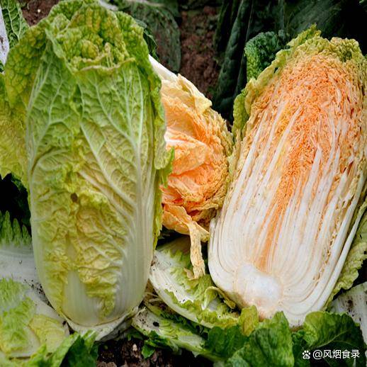 黑龙江齐齐哈尔讷河市的特色蔬菜.