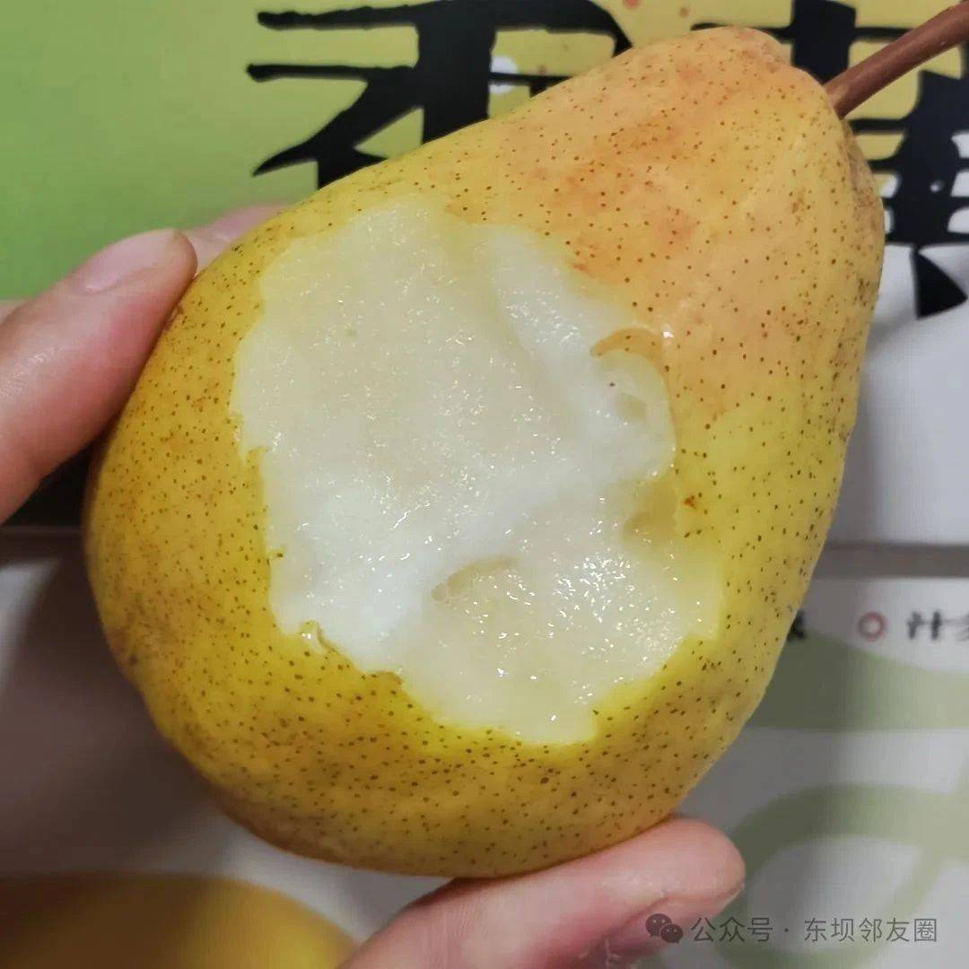 亚奥推荐:细腻高甜的农科院香蕉梨来啦!肉厚多汁、润肺止咳!_甜度_果肉_下单