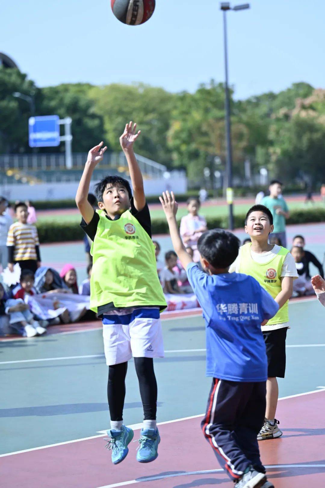 鹿鸣小学校徽图片