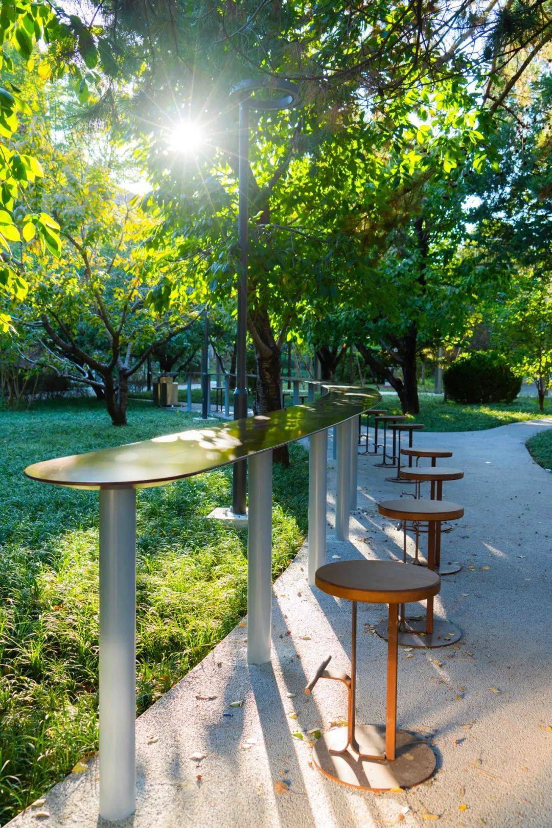 校园环境大改造,来看"新妆"