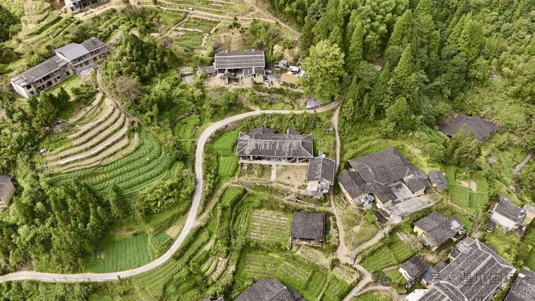 这里"杏"福满满!