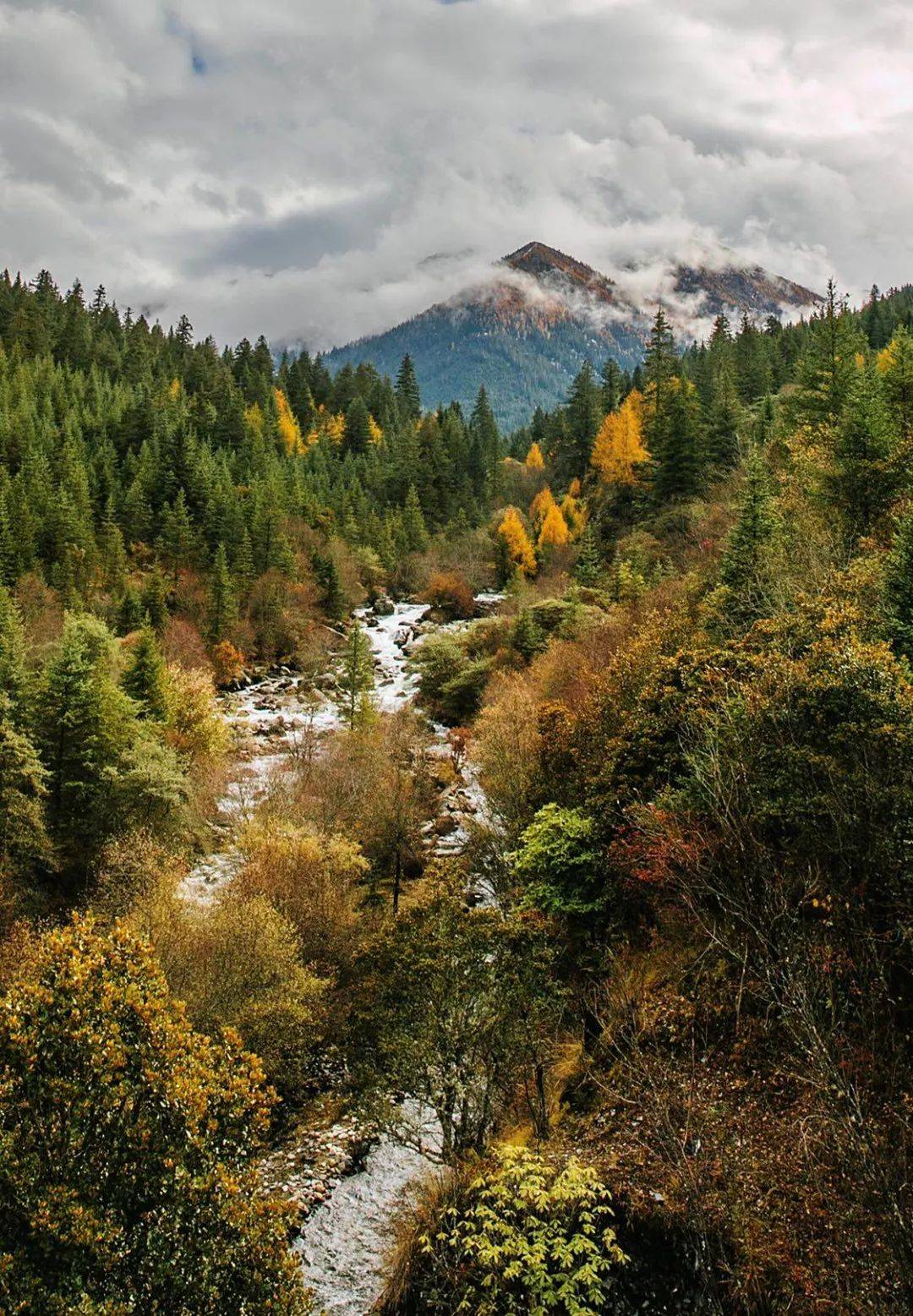 党岭风景区图片