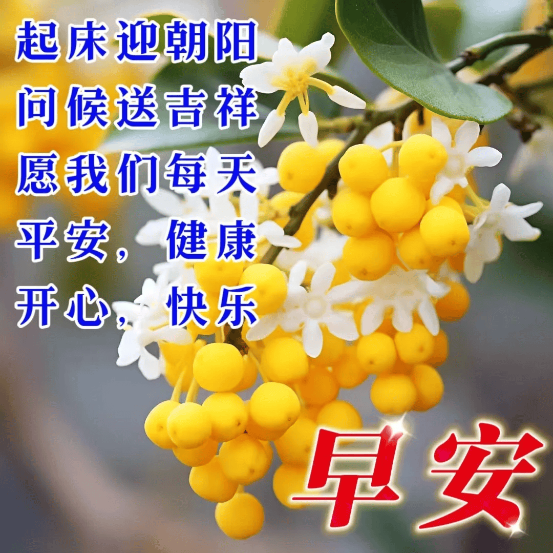 最新中老年早上好漂亮祝福图片表情包大全,真心祝愿,幸福久久!