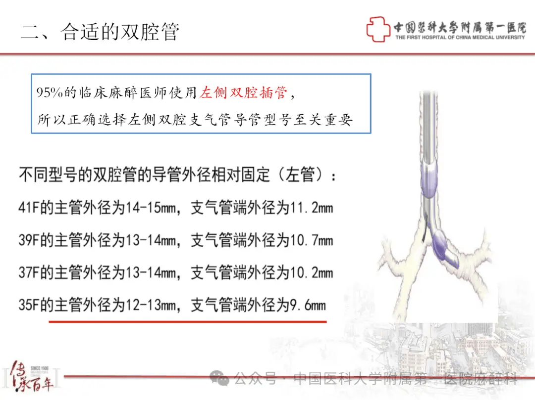 双腔气管导管图解图片