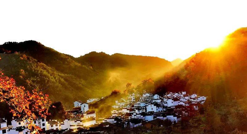 上面这些美景图是长溪村秋天风景，不是我拍的，是长溪村村长戴向阳发给