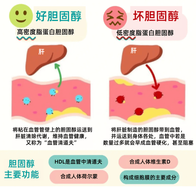 徐金亮名医挂号费的简单介绍