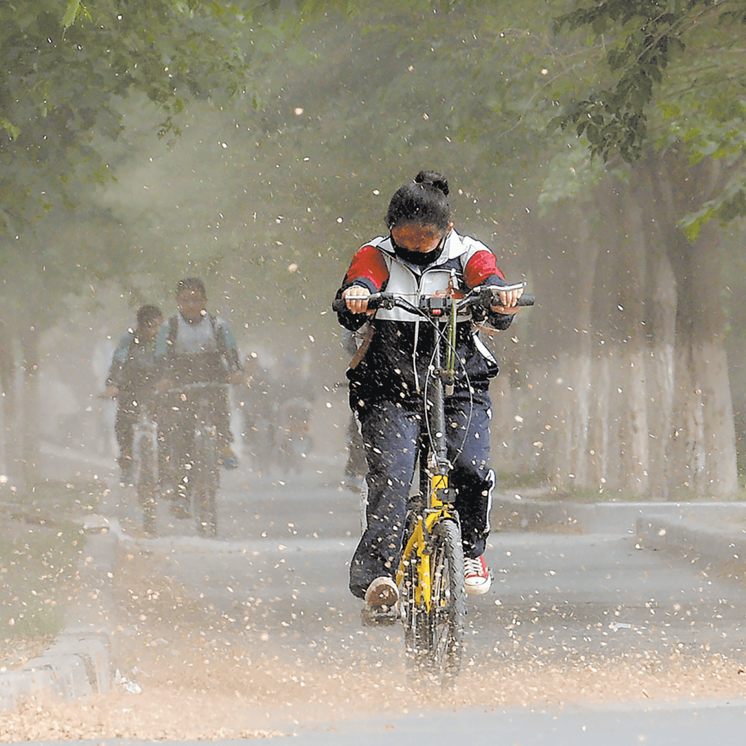 风风雨雨走过的图片图片