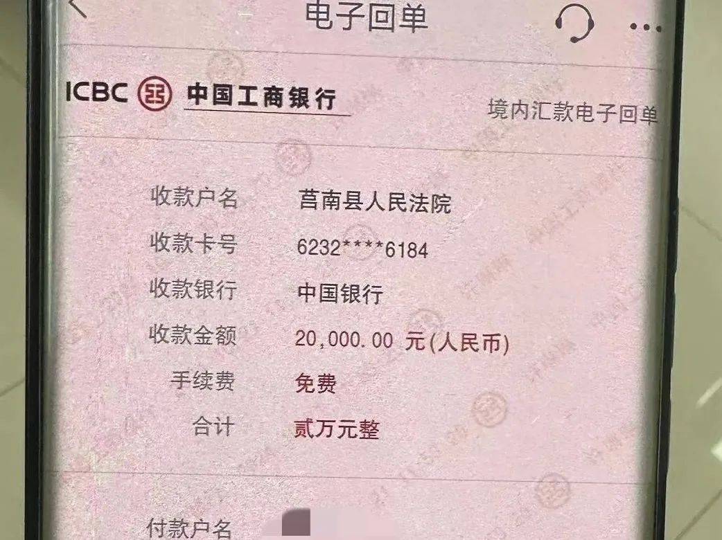 网上电子汇款单图片图片