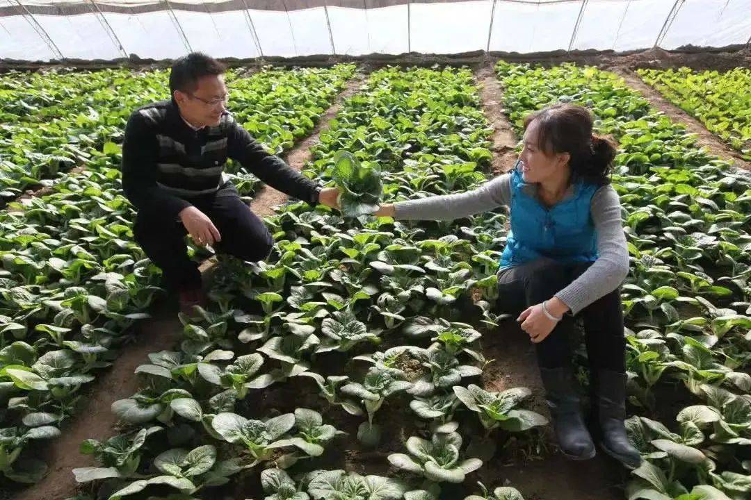 石嫣农场现状地址图片