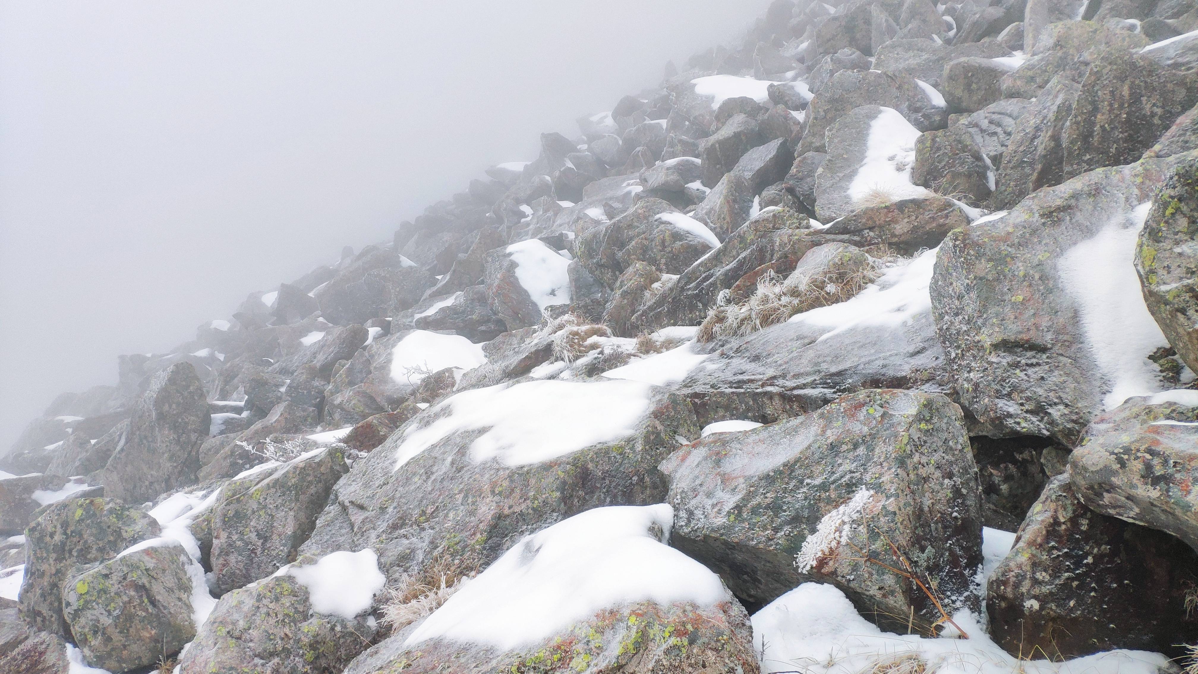 高山晶莹雪图片