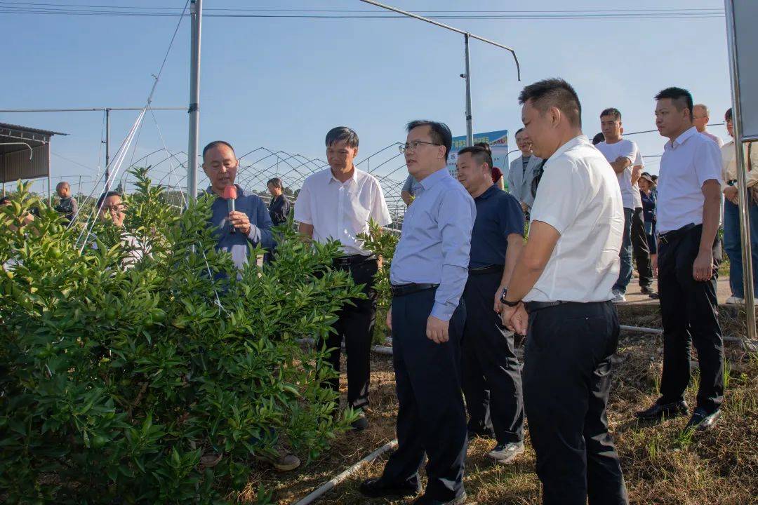 人大要闻卢新华以人大代表身份到阳朔县开展混合编组多级联动履职为民