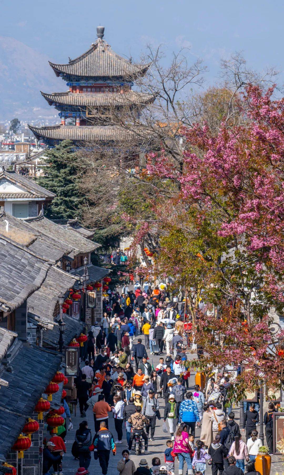 大理风景区真实图片图片