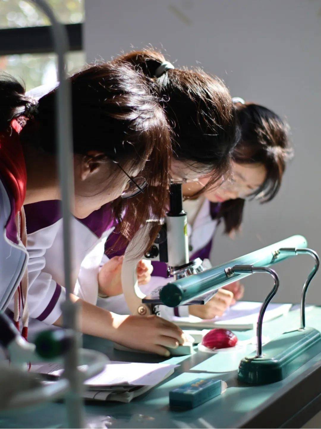 生物 | 实验探索真知,感受生物之美——高一年级学生开启实验新篇章