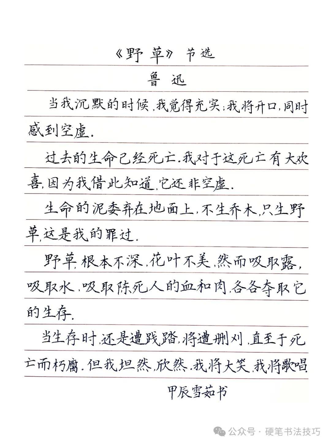 
野草读后感
  第2张