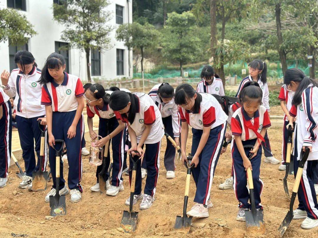 丰泽区第三实验小学图片