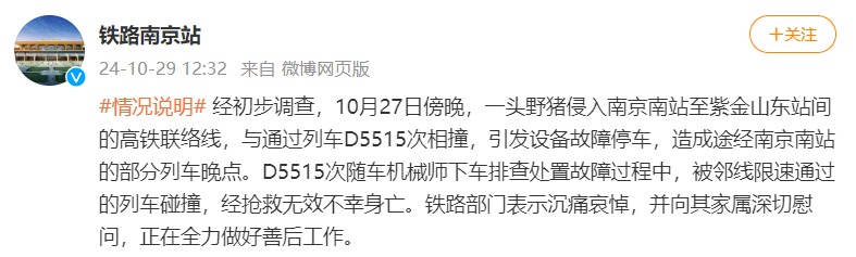 铁路南京站通报：野猪与列车相撞引发故障停车，机械师下车处置中被邻线列车碰撞身亡