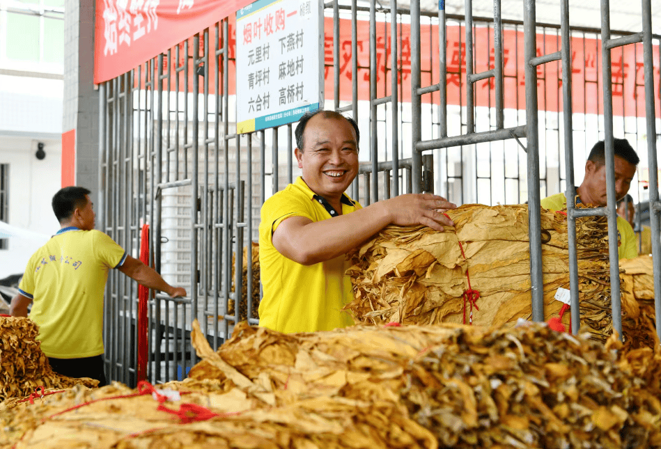 一片金叶子大概多少钱-一片金叶子等于多少两银子