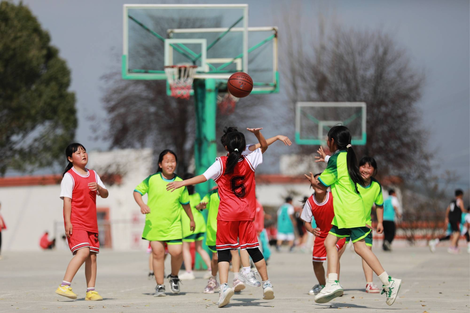 小学生篮球赛美篇图片