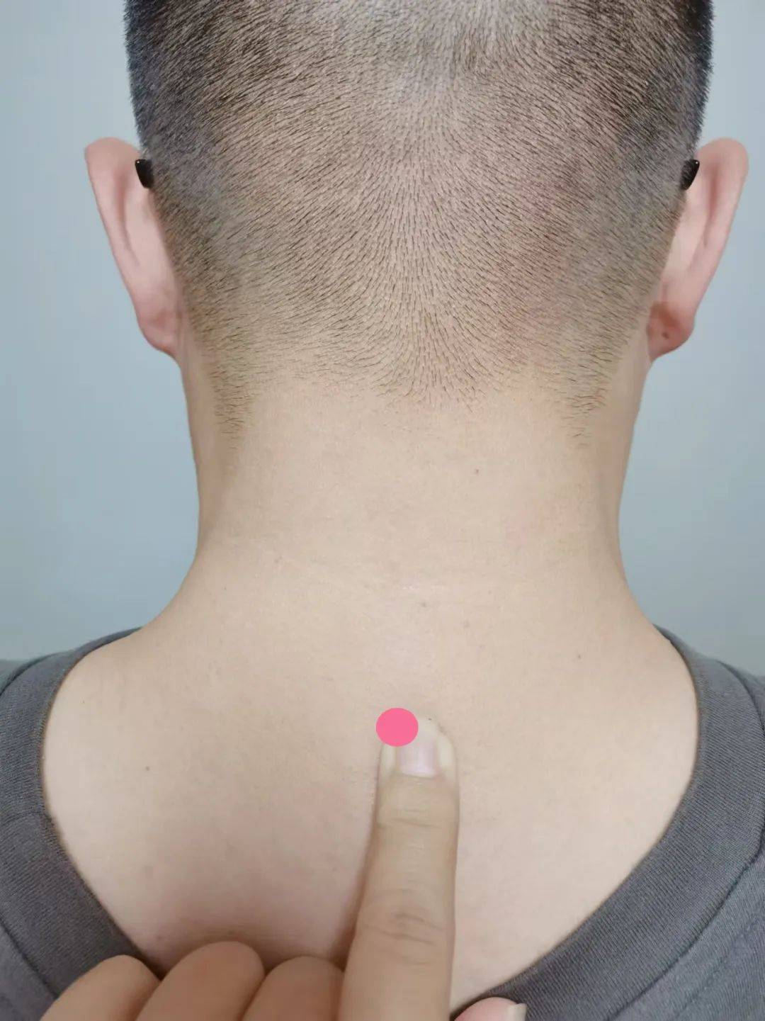 颈部_肌肉_活动