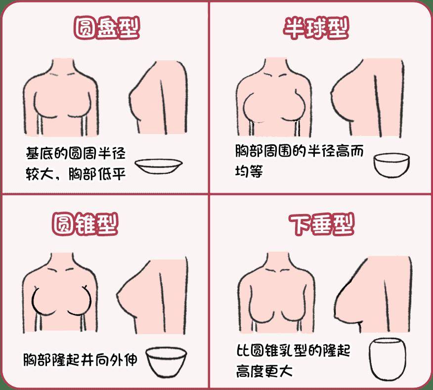 乳房外上象限在哪图片