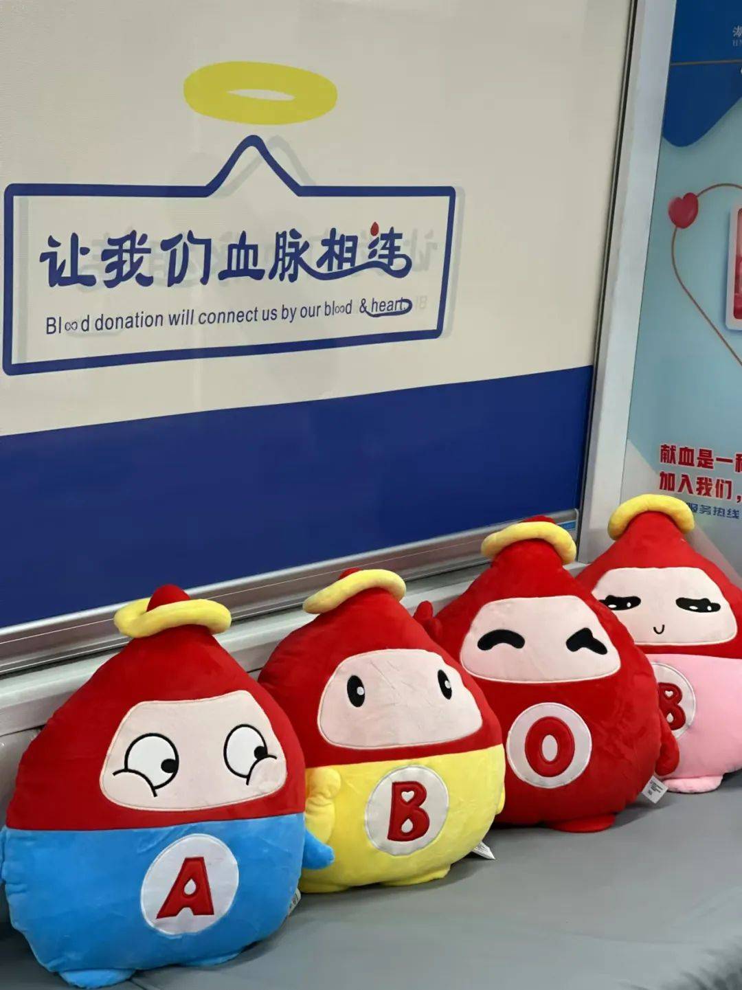 活动三无偿献血领取献血纪念品与证书活动期间(11月4日-11月8日)成功