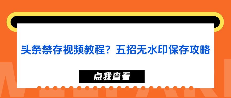 头条文章怎么发视频教程(头条文章怎样发微信朋友圈)