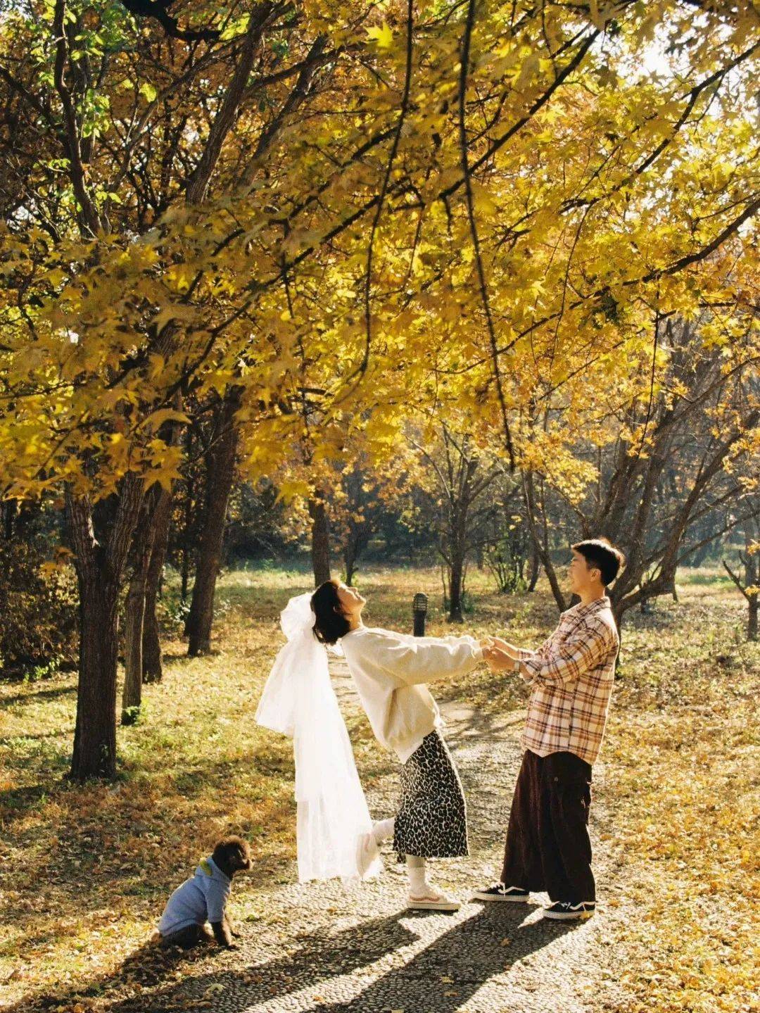 剁手"不如"牵手!线上情侣脱单盲盒,免费参与!只为遇见心动的ta!