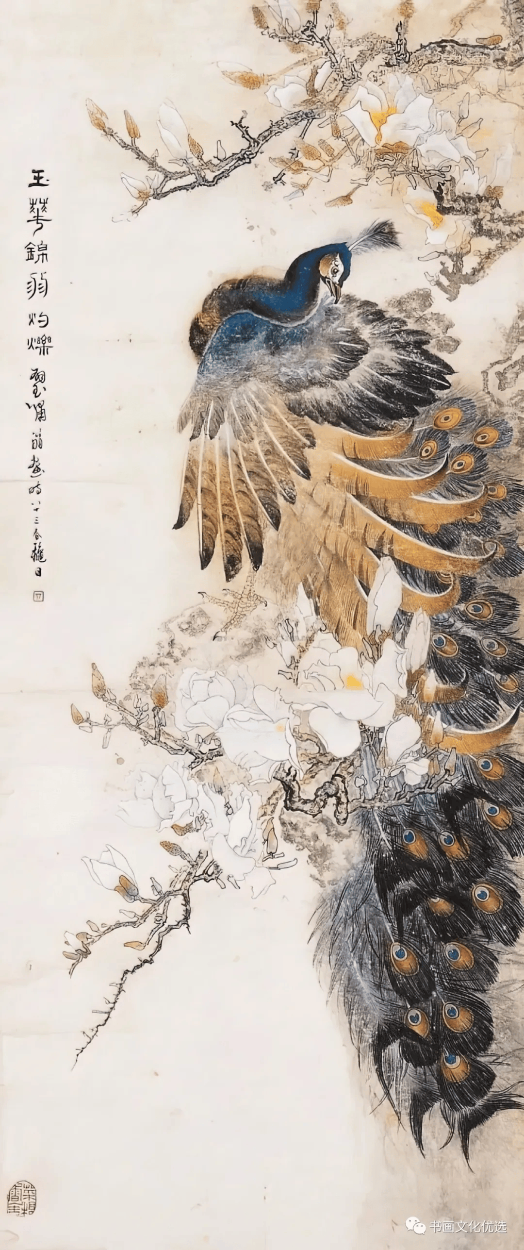 国画孔雀大师作品欣赏图片