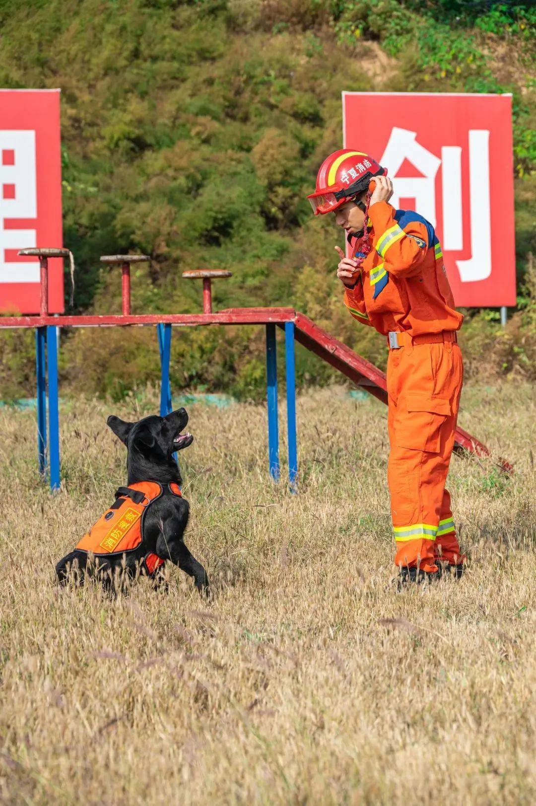 银川市消防救援支队搜救犬站圆满完成2024年度全国第二期搜救犬训导员