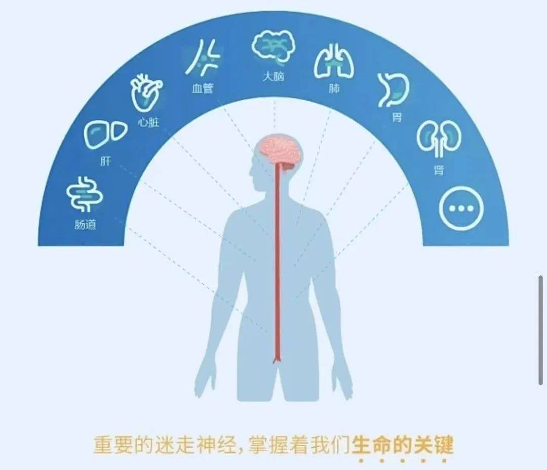 脑场生命意识健生法图片