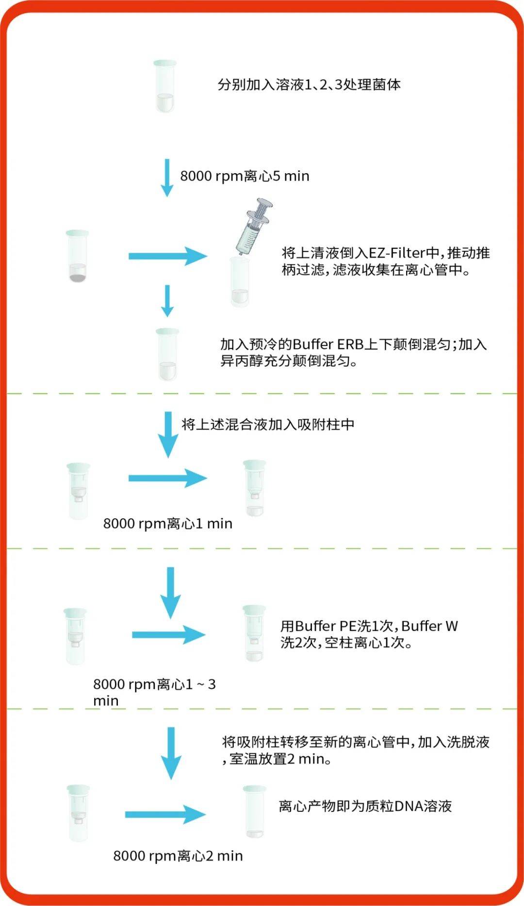 ez-press endofree plasmid mini/maxi kit 代表性实验结果ez-press