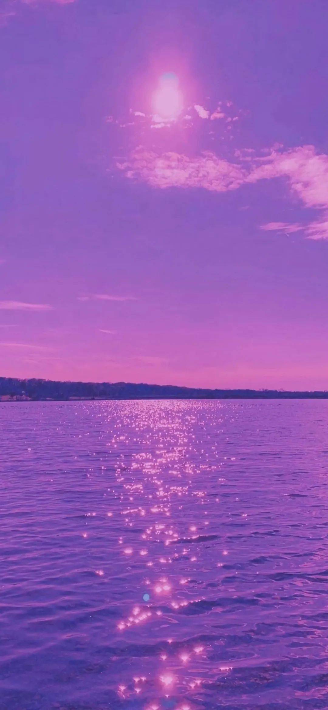 专题|ෆ紫色系壁纸