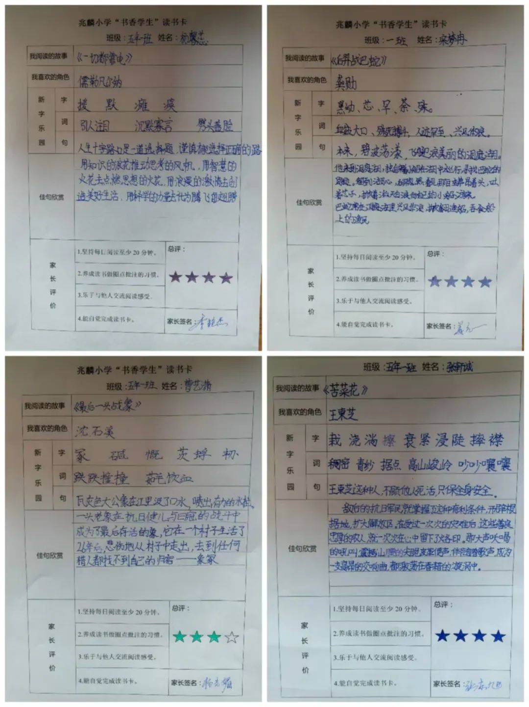 【兆麟书香】浸润书香 快乐成长——兆麟小学整本书阅读读书卡展示