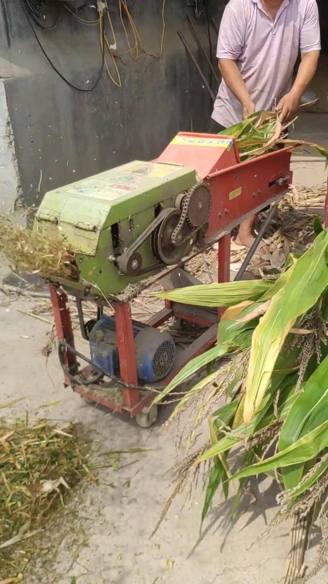 铡草揉丝机 铡草机厂家 牛羊养殖设备 养殖场铡草机