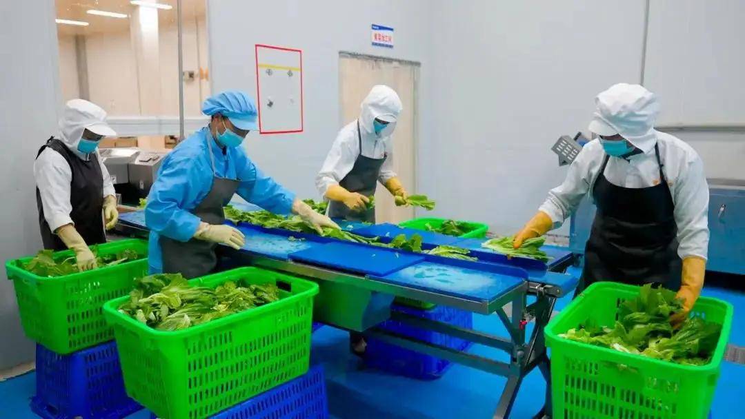 风味独特:碱水馍的历史传承