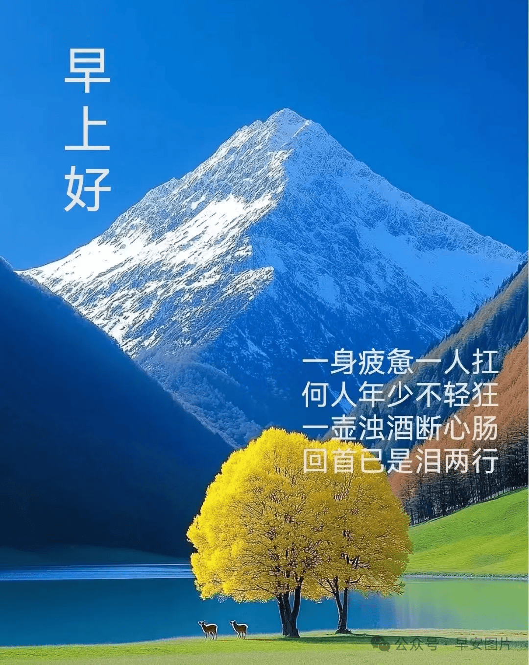 牵挂动表情图图片