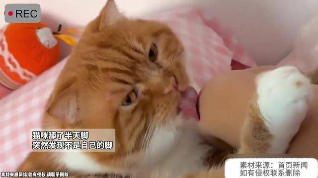 来自搜狐网