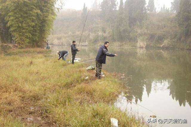 黄河冬季钓法图片