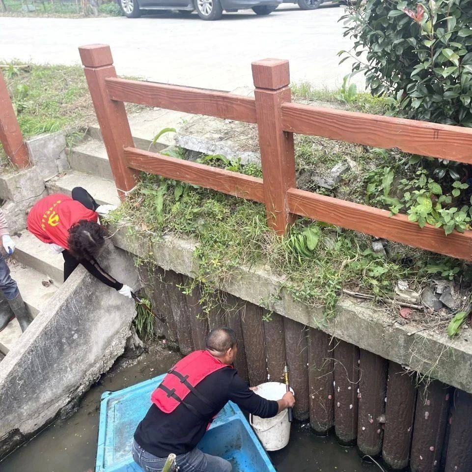 廊下镇开展“保护家乡河”志愿巡河暨福寿螺清理专项活动