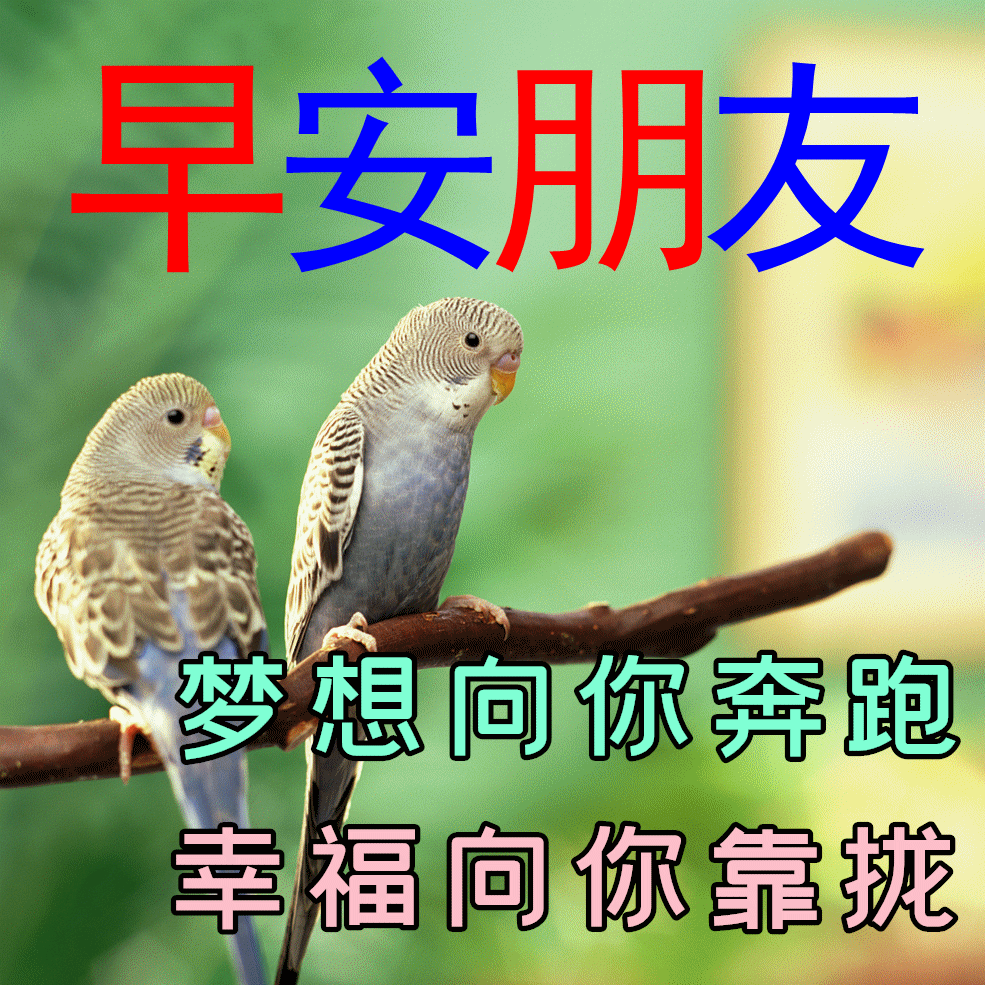 985_985gif 动态图 动图