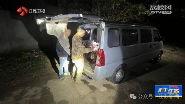 300斤大野猪被迅速捕猎!南京老山里有一队“野猪赏金猎人” 300斤大野猪被迅速捕猎!南京老山里有一队“野猪赏金猎人”