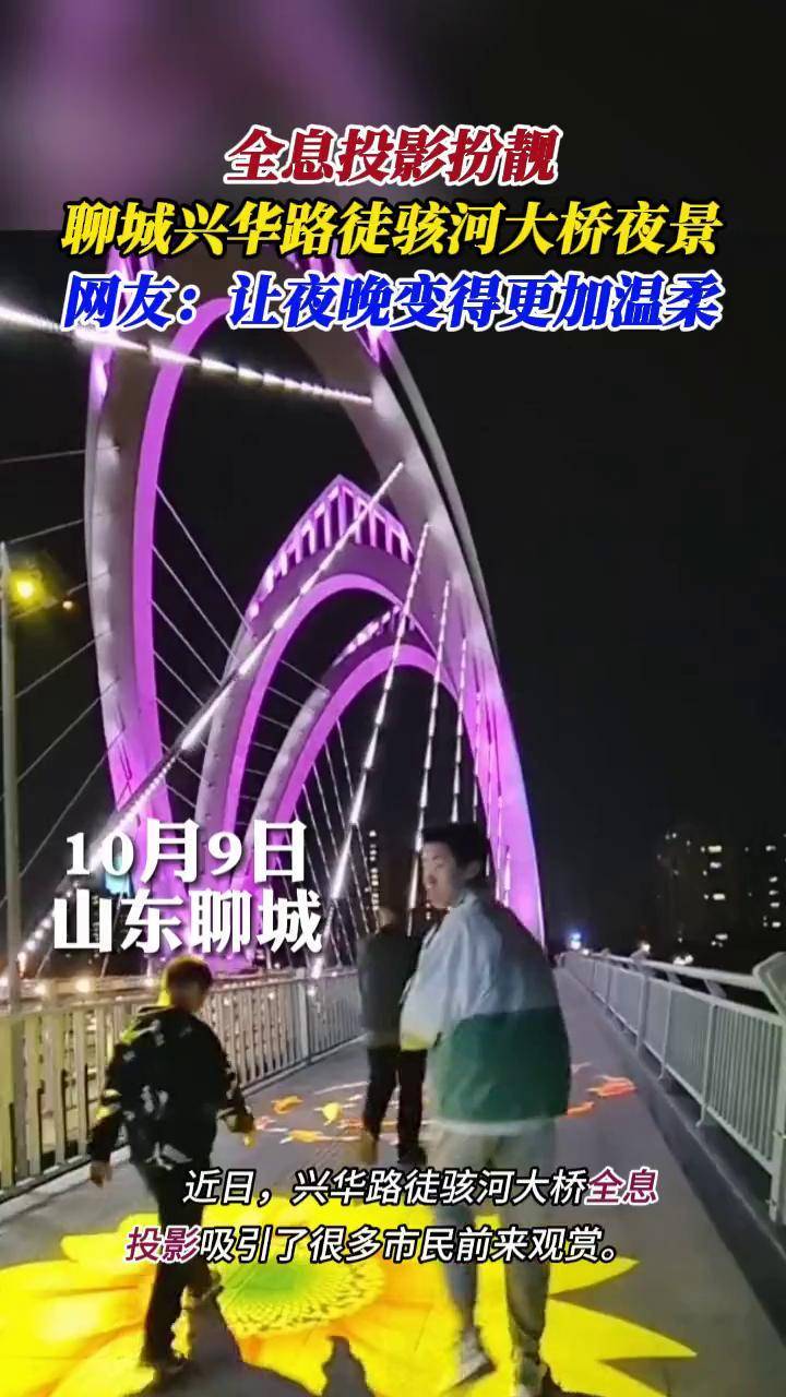 聊城大桥夜景图片图片