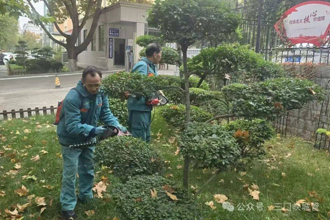 迎接赛事 必赢平台秋景添彩(图1)