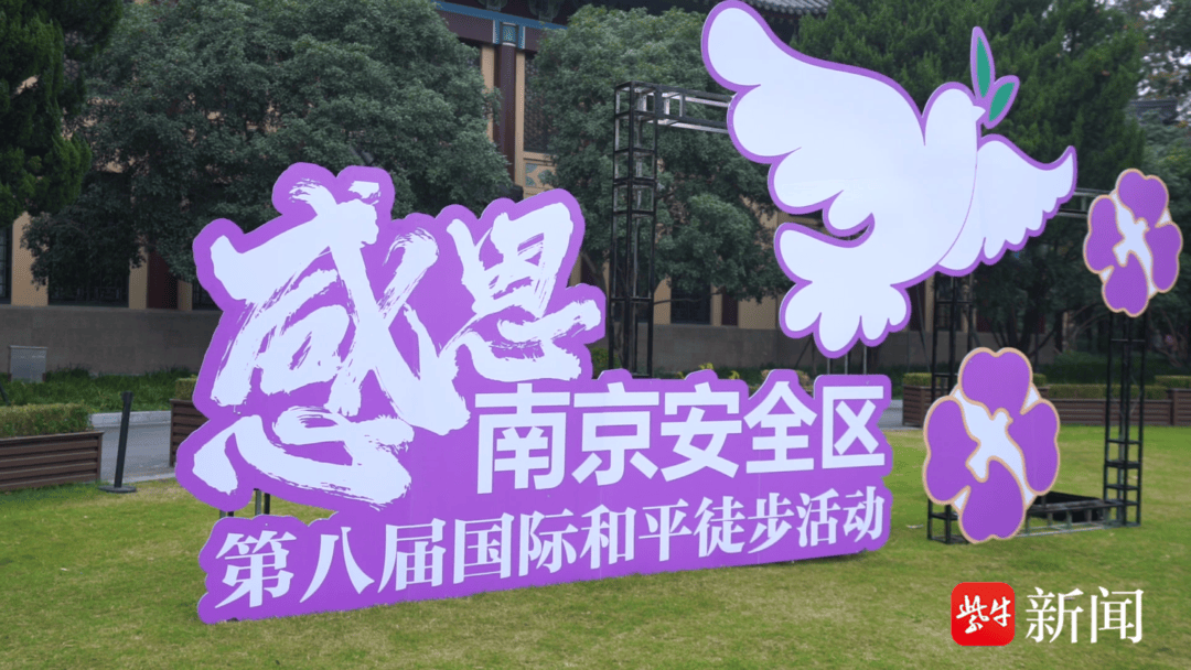 南京安全区 来自搜狐网