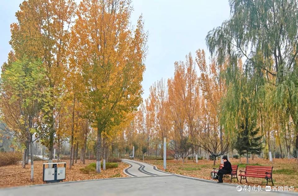 章丘区林荫公园,爱拍照的美女