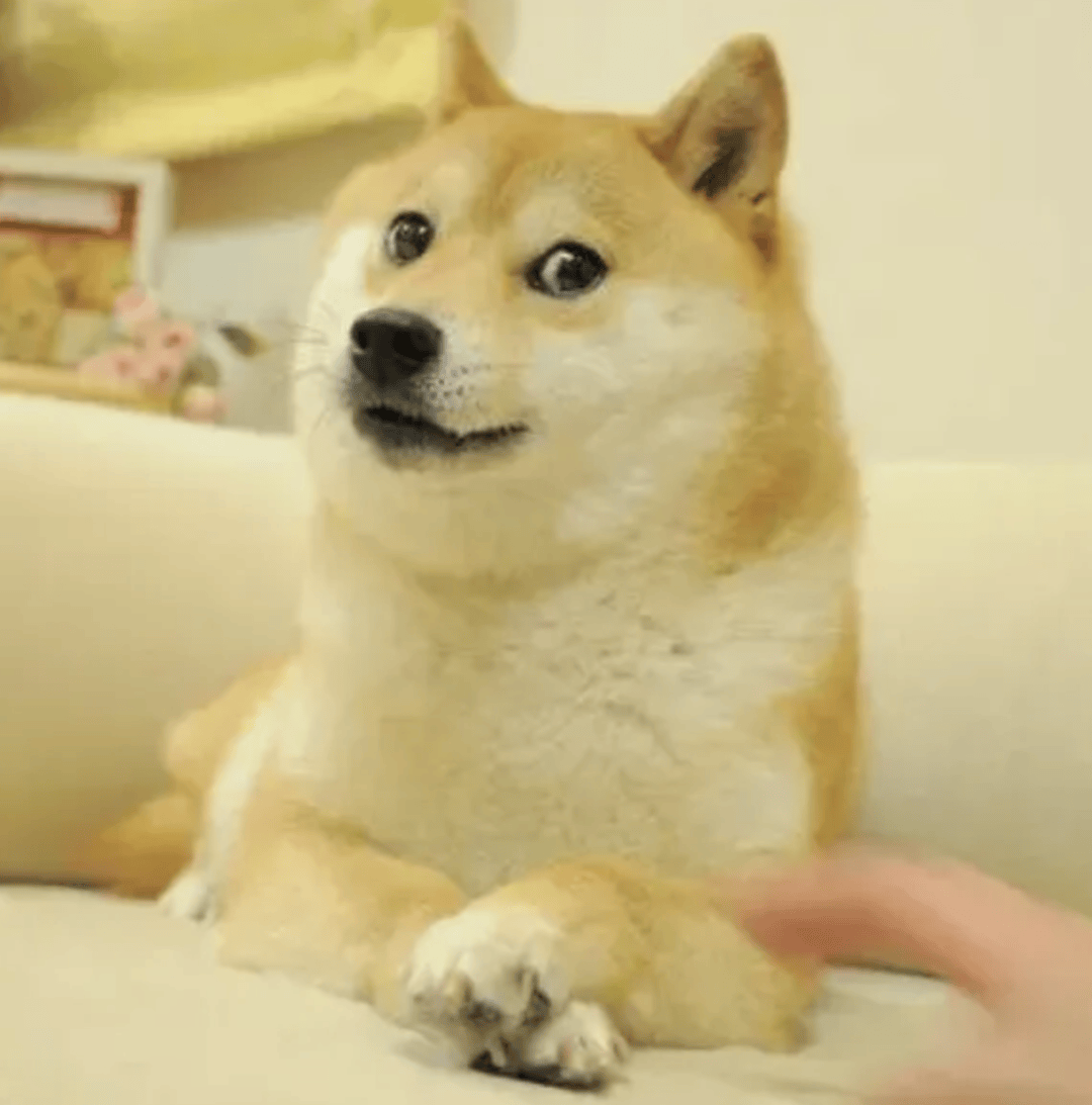 现在流行的表情包,连00后都看不懂