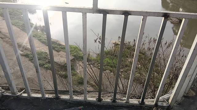 四川剑阁1岁多幼儿不慎坠桥 两男子爱心接力护送就医丨看见正能量