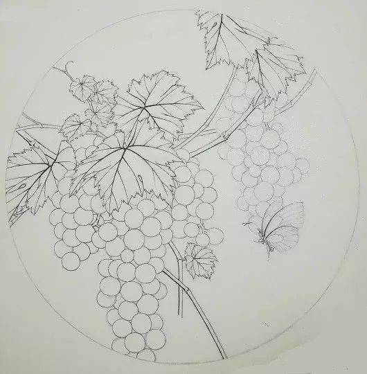 魏衍达工笔葡萄《小翠绿》绘画步骤教程！