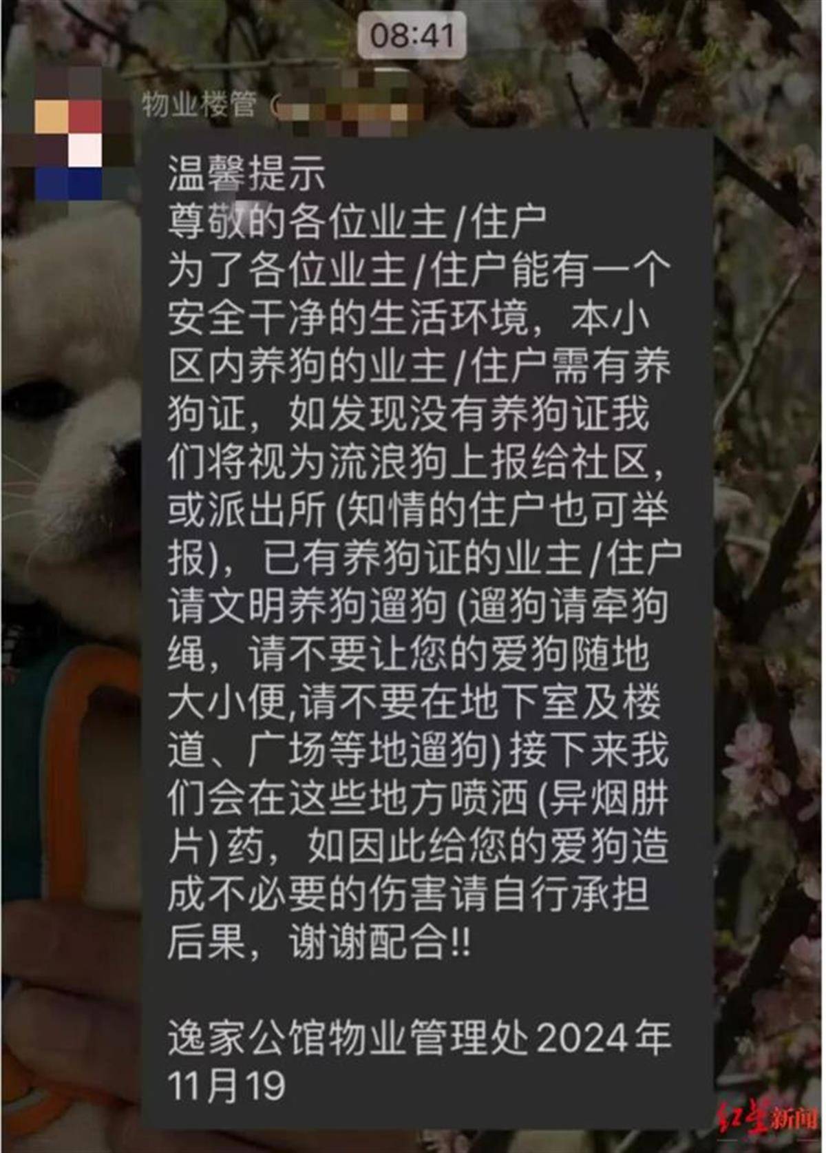 治理狗患岂能开错了药方 宣称在小区喷洒对犬类有毒的药品